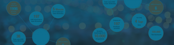 Grafik AFBiD-Software in Zahlen