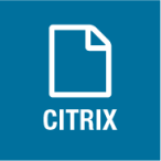 Icon Citrix