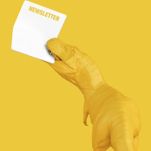 DVZ-Newsletter Registrierung bereits bestätigt